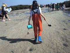 -红树林天天赶海