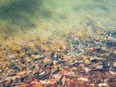 -大连天门山国家森林公园