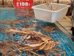 -新丁香海鲜酒店(银海商贸城店)