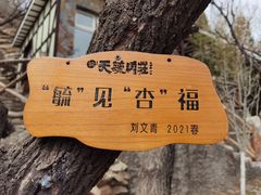 -天毓山庄·餐厅