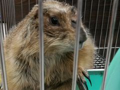 -乐宠宠物店(世纪金源店)