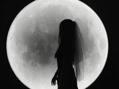 -深圳独角兽星空艺术馆