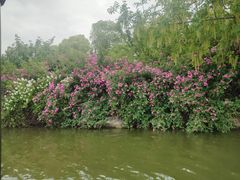 -云龙湖旅游景区