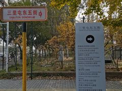 -三里屯东五街银杏大道