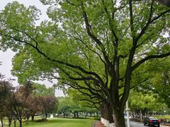 -上海交通大学(闵行校区)