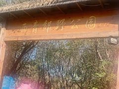 -西青郊野公园