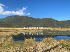 -腾冲北海湿地