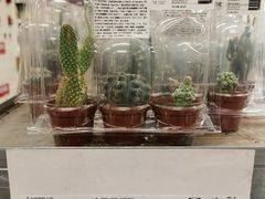 -宜家家居(哈尔滨商场店)