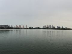 -尚贤河湿地