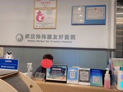 -伟伟宠物医院·瑞派猫友好医院·猫科(光谷店)