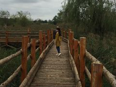 -灞河西岸滨河公园