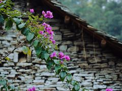 -高荡千年布依古寨旅游景区