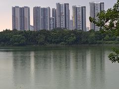 -广东花都湖国家湿地公园