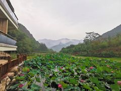 -云丘山景区