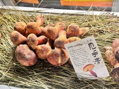 -滇野云南野生菌餐厅(陕西南路店)