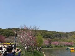 -苏州上方山国家森林公园