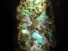 -深圳珠宝博物馆