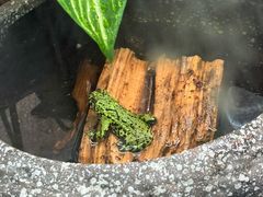 -上海大自然野生昆虫馆(东方明珠·爬宠昆虫探索中心)