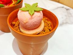 -哈根达斯(赛特奥莱店)