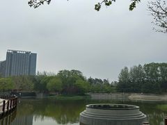 -大望京公园