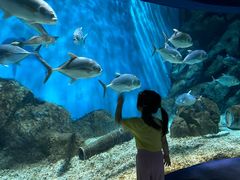 -福州罗源湾海洋世界旅游区