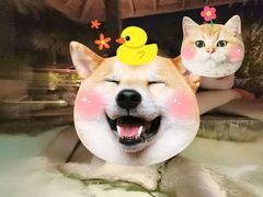 -厦门日月谷温泉渡假村