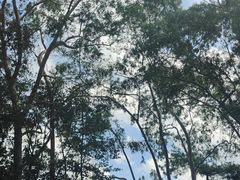 -白云山风景名胜区