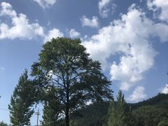 -木札岭峡谷漂流