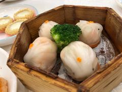 虾饺-寻味顺德·南记酒家·传统顺德菜·鱼生(广源路店)