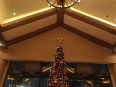 -长白山万达喜来登度假酒店