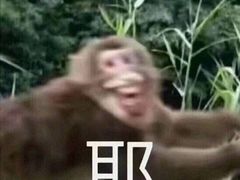 -鹭江潮餐厅•福建菜(鹭江佲家酒店)