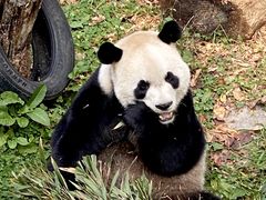 -黔灵山公园
