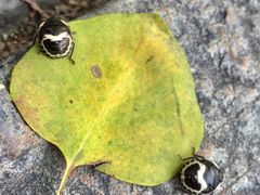 -奥林匹克森林公园南门-停车场