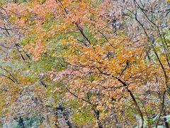 -广州市石门国家森林公园