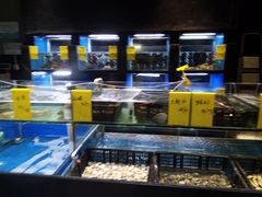 水产区-蓝鲸(国浩路店)