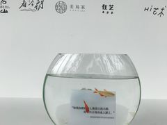 -知美术馆