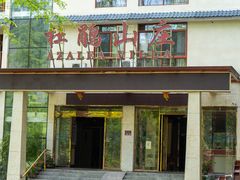 -大围山国家森林公园