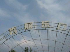 -秀丽东方