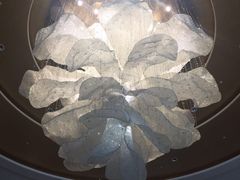 -常熟理文铂尔曼酒店