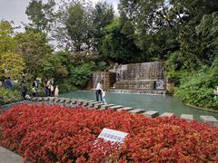 -成飞公园