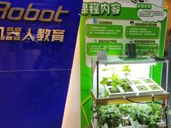 -艾克瑞特机器人教育(金狮校区)