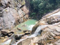 -广州白江湖森林公园