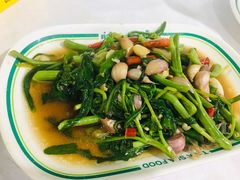 -T&K 海鲜