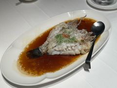 -鹿园 MOOSE(长宁店)