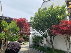 -吴越荣记苏州菜·松鼠桂鱼100%活鱼现做(斜塘老街店)