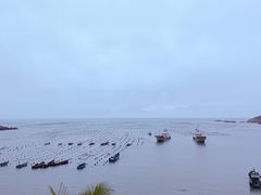 -枸杞岛