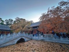 -香山公园