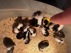 -常州海昌海洋探索馆