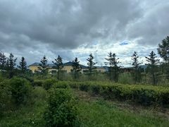 -北极村旅游风景区