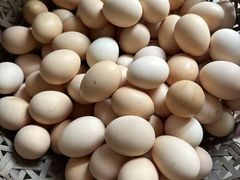 -马陆小张葡萄园农家乐